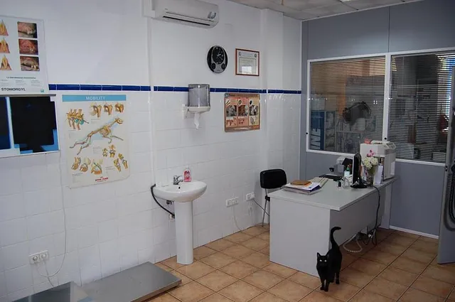 Clinica Veterinaria Alacant interior de clínica